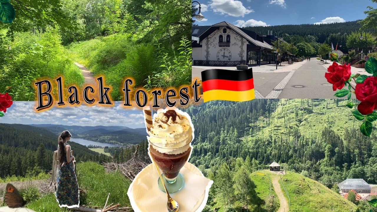 Black forest hiking| Travel | City trip | Titisee-Neustadt 2022 | Germany 🇩🇪