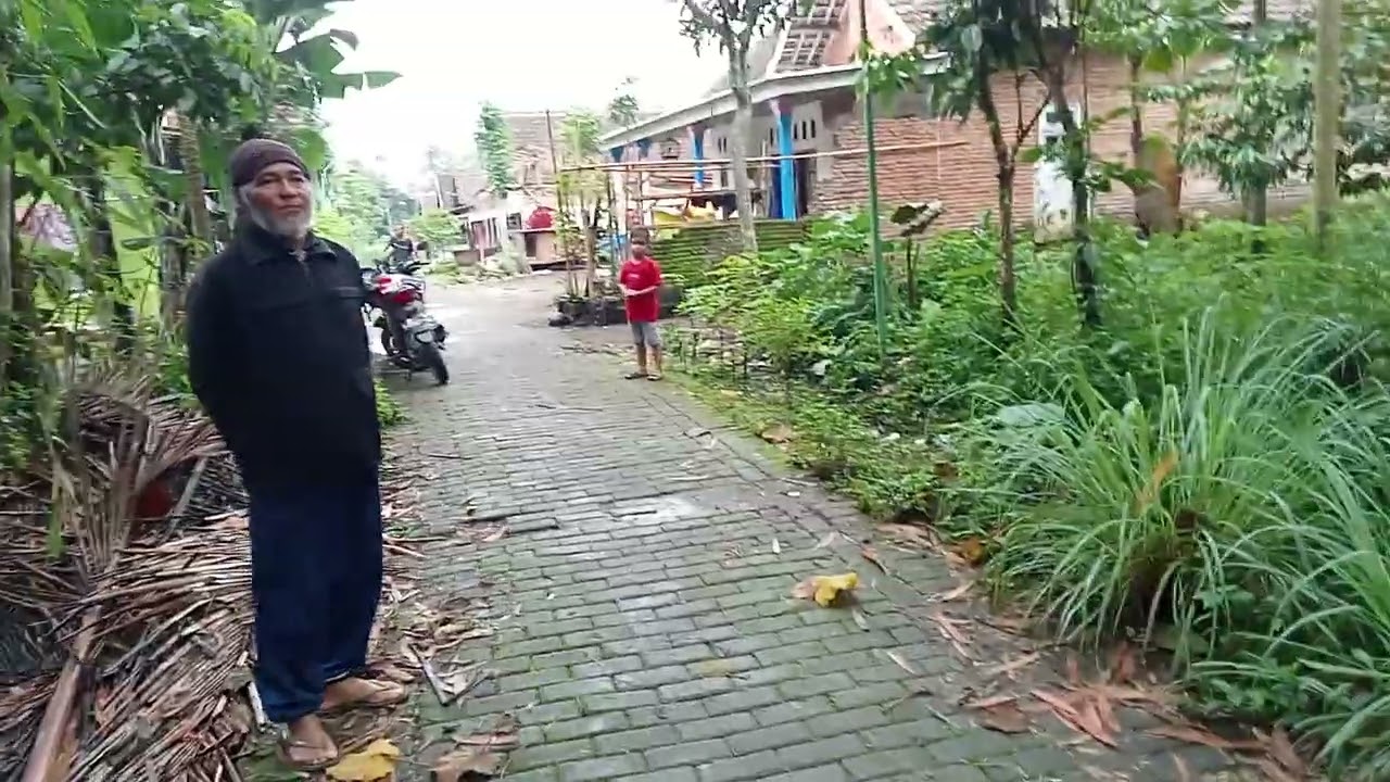 Tanah dijual lokasi di desa randu gading kec Tajinan kab malang wa 082315377598
