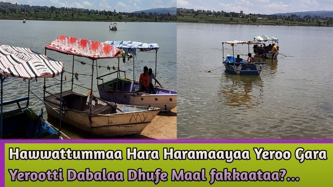 #Hawwattummaa_Hara_Haramaayaa Yeroo Gara Yerootti #Dabalaa_Dhufe Maal fakkaataa?...
