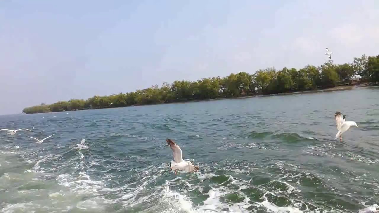 Naf river ||  Beautiful Bangladesh| Amazing world