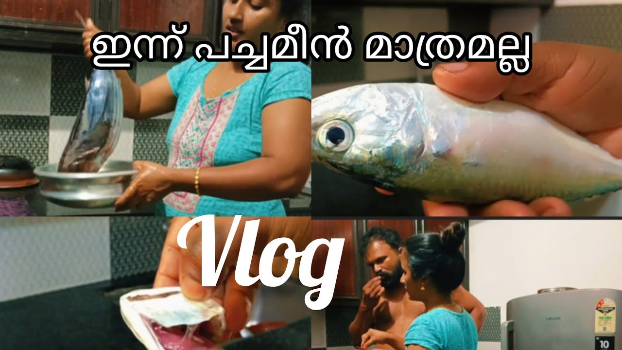 പച്ചമീൻ ആണോന്നറിയാൻ  ഇങ്ങനെ ചെയ്താൽ മതി🥰💁@kochikari369