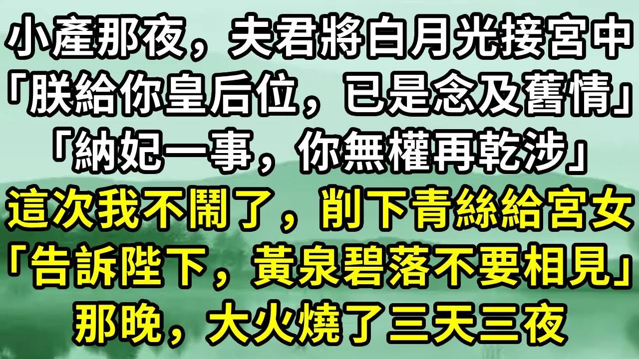 小產那夜，夫君將白月光接宮中「朕給你皇后位，已是念及舊情」「納妃一事，你無權再乾涉」這次我不鬧了，削下青絲給宮女「告訴陛下，黃泉碧落不要相見」那晚，大火燒了三天三夜#小说