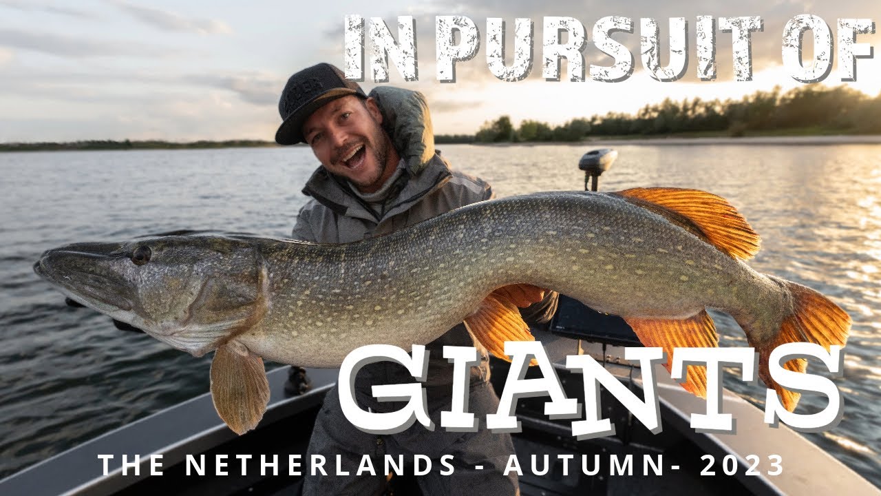 In Pursuit of Giants  - Big Swimbait Fishing for Pike