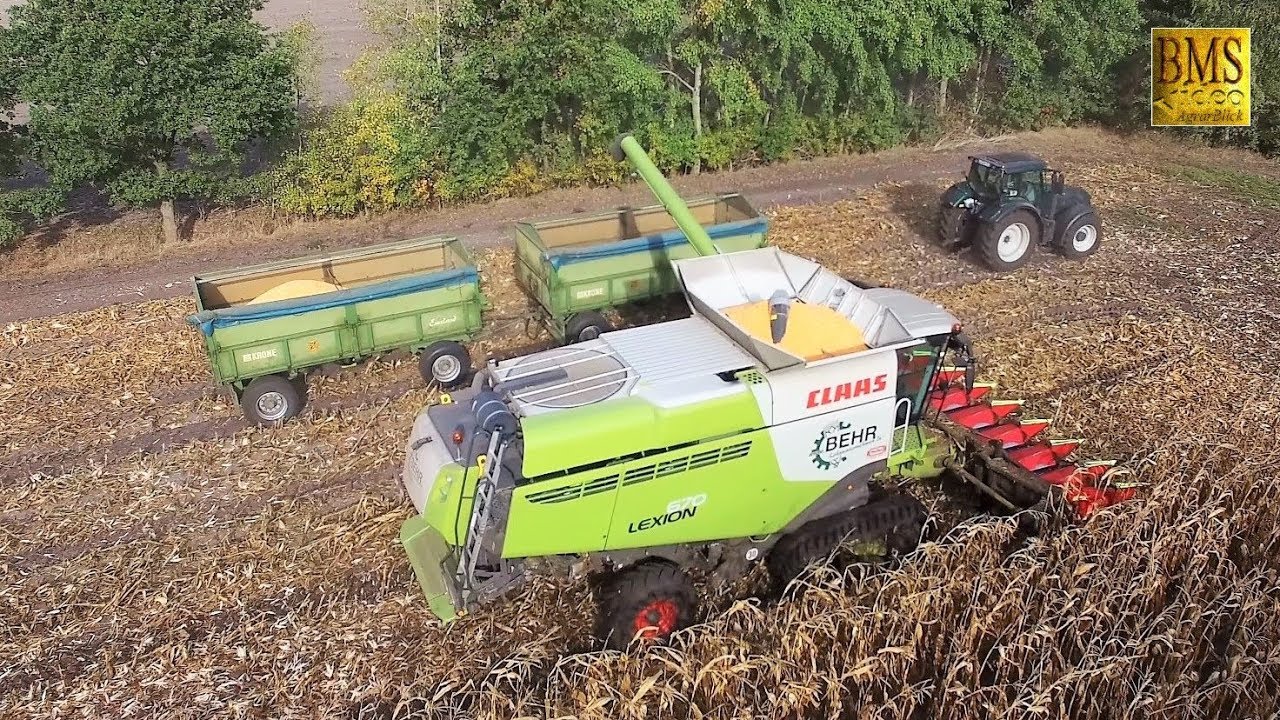 Körnermais ernten - Mähdrescher Lexion Claas 670 TERRA TRAC - combine harvester corn harvest 2018
