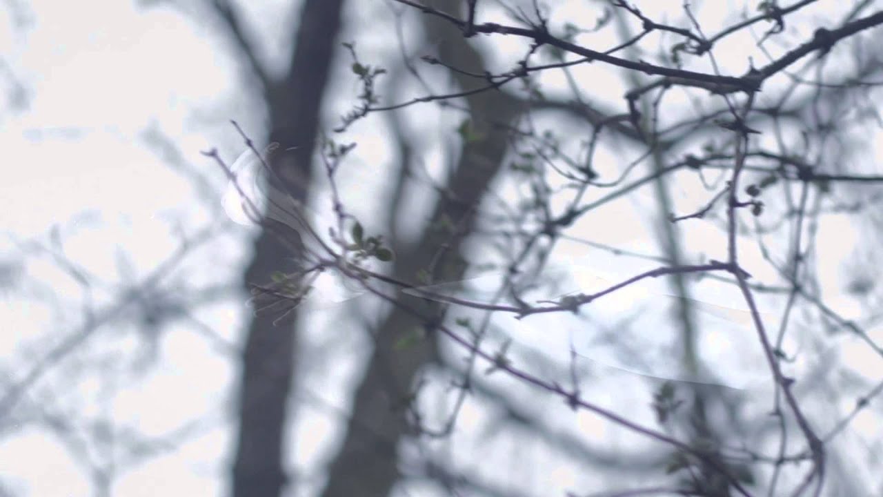 'Winter' by JET Collective  - Music Video from the double album 'JetStream'