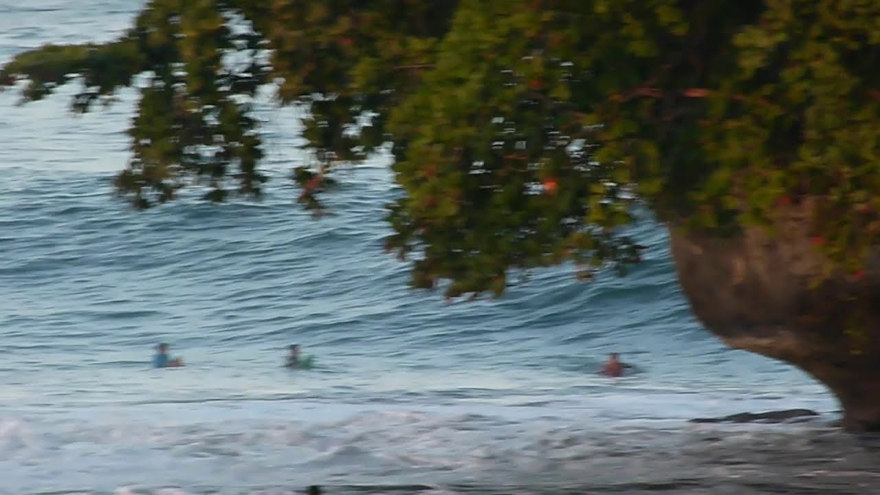 Batukaras Swell