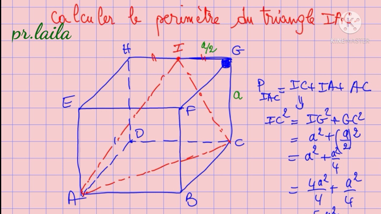 Exercices : application de thalés et de Pythagore dans l'espace. 3ème année collége.
