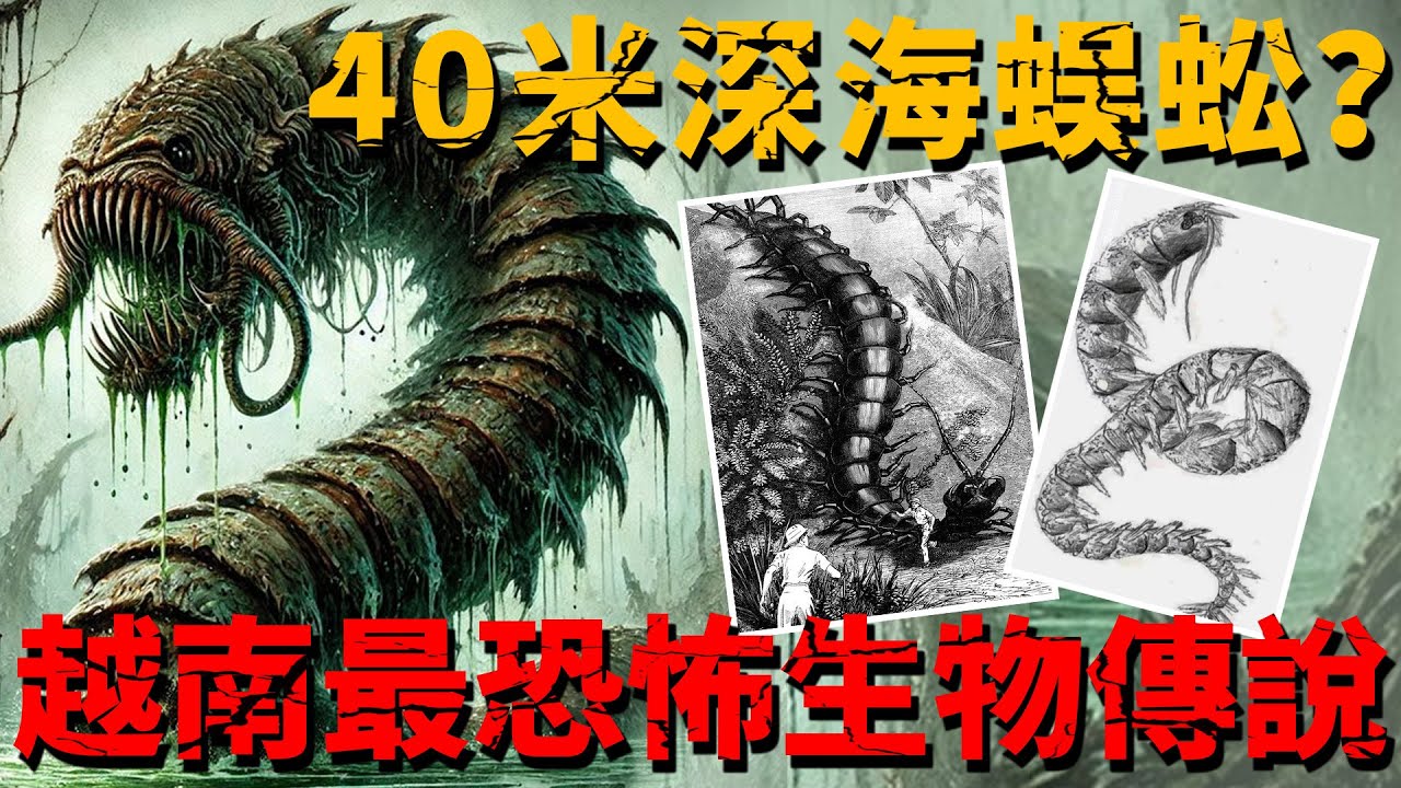 越南海底蟄伏著40米長蜈蚣？越南人口口相傳100年詭異生物！究竟是巨大無脊椎生物還是可怕的千足怪物？【未知生物—康瑞特】
