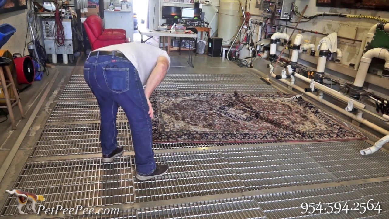 Which cleaning process is better to clean my Oriental rug Steam cleaning or Dry-cleaner