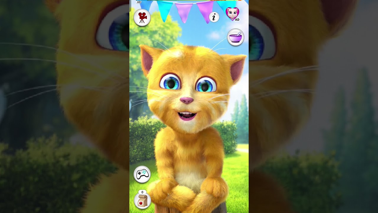 Jay Kanhaiya Lal ki hathi ghoda paalki