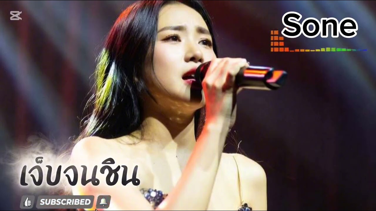 เจ็บจนชิน - Sone 