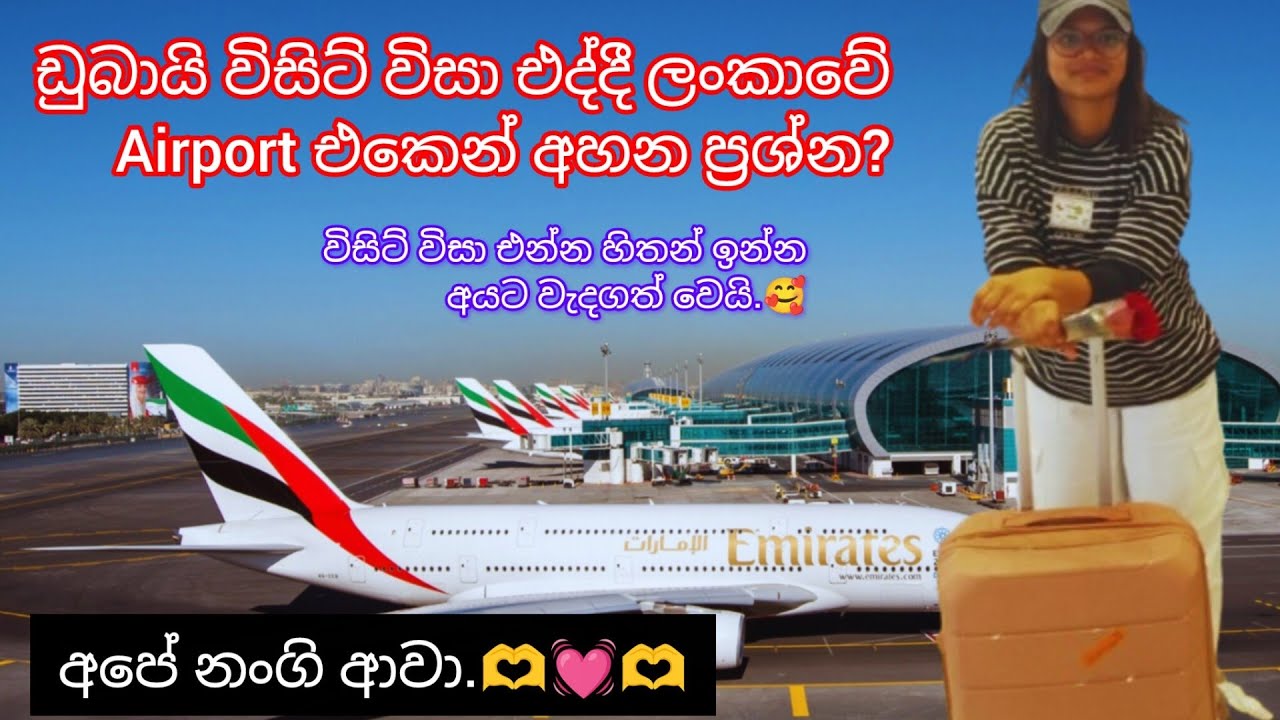 🍃නංගි Dubai ආවා🌺🌸 අපි එයාව ගන්න Airport එකට ගියා💓 #dubaivisitvisaupdate  #dubaitravel @lifewithDilka