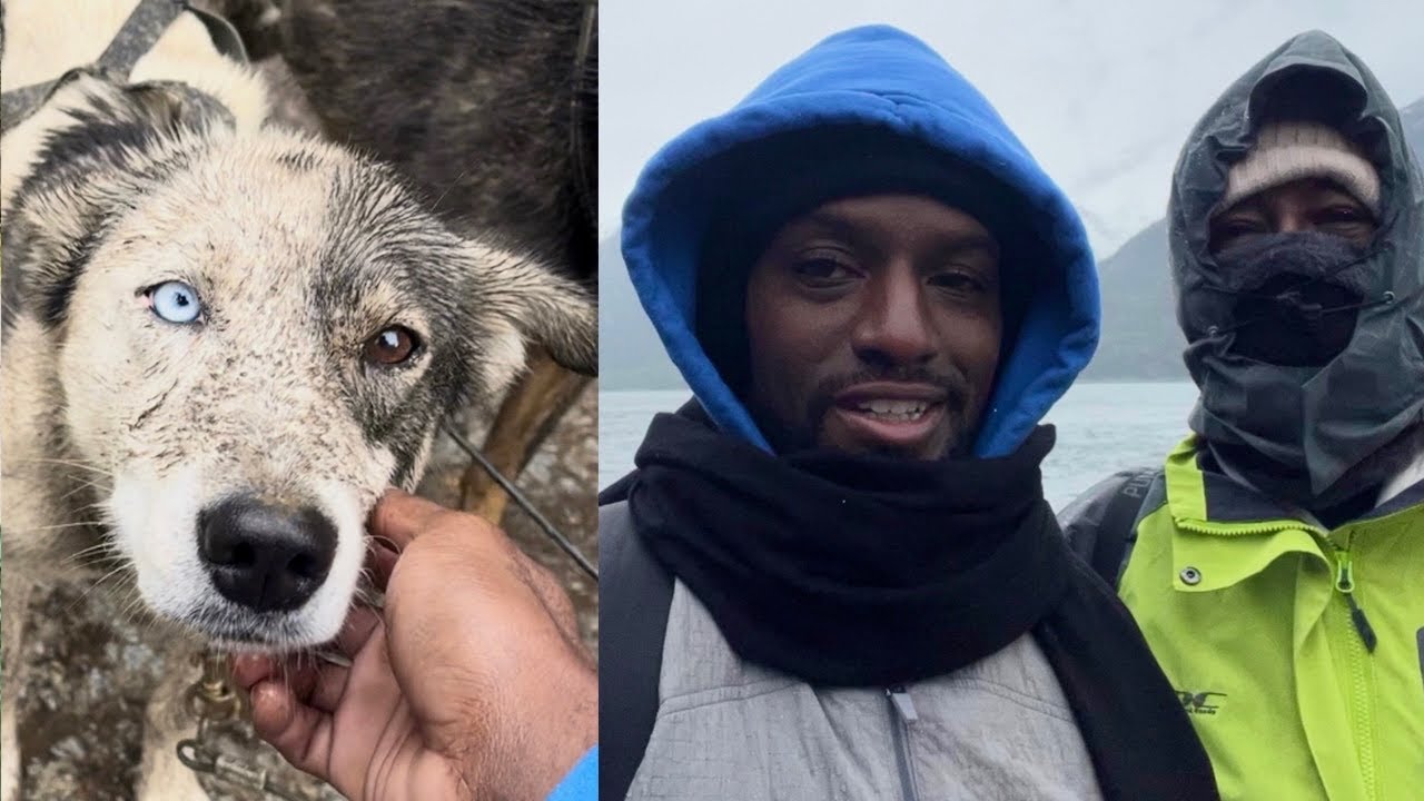 I TOOK MY MOM DOG SLEDDING IN SKAGWAY ALASKA! | PLAYING WITH HUSKY PUPPIES