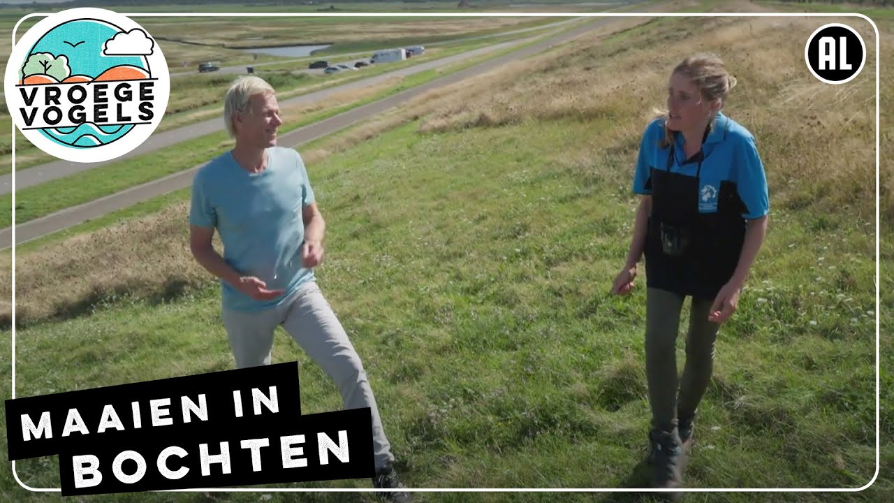 Maaien in bochten | TV | Vroege Vogels