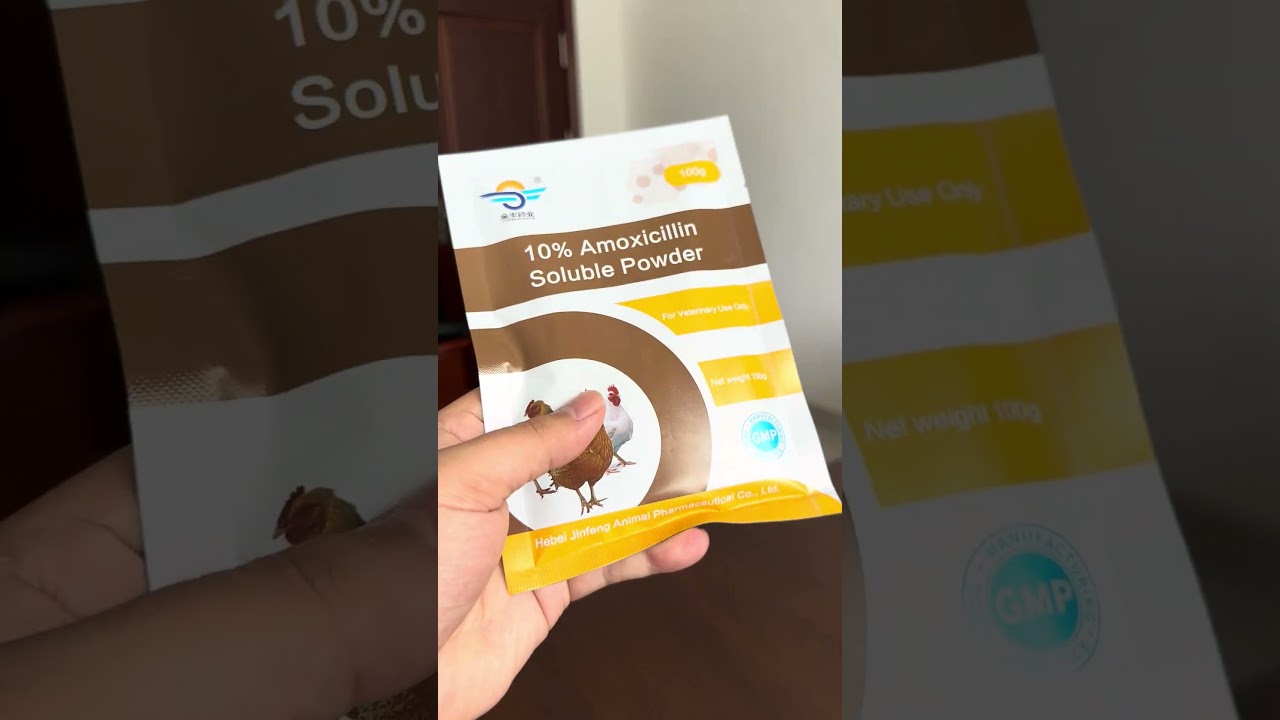 10% Amoxicillin Soluble Powder #PoultryFarming  #poultryhealth  #veterinary #chicken
