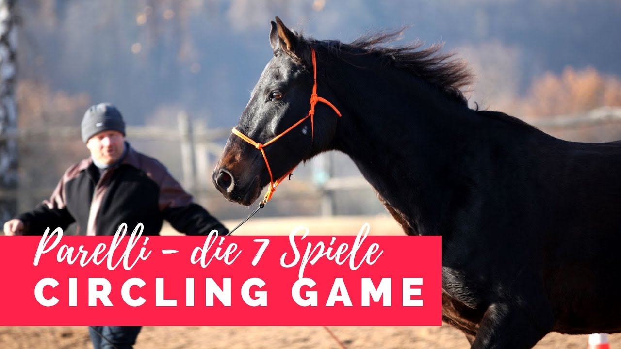 Die 7 Spiele nach Parelli - Circling Game | ausführliche Anleitung Teil 5/7