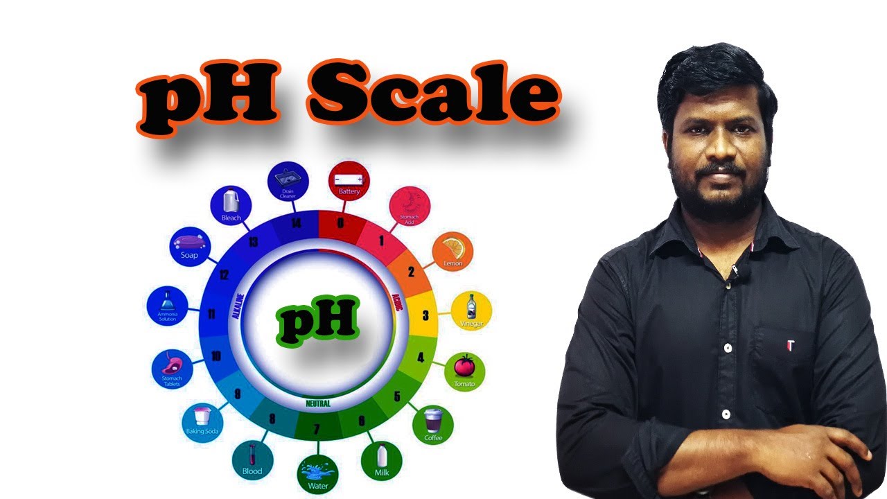 14.pH Scale | pH Temperature Dependent | Concept for NEET & JEE  | Tamil