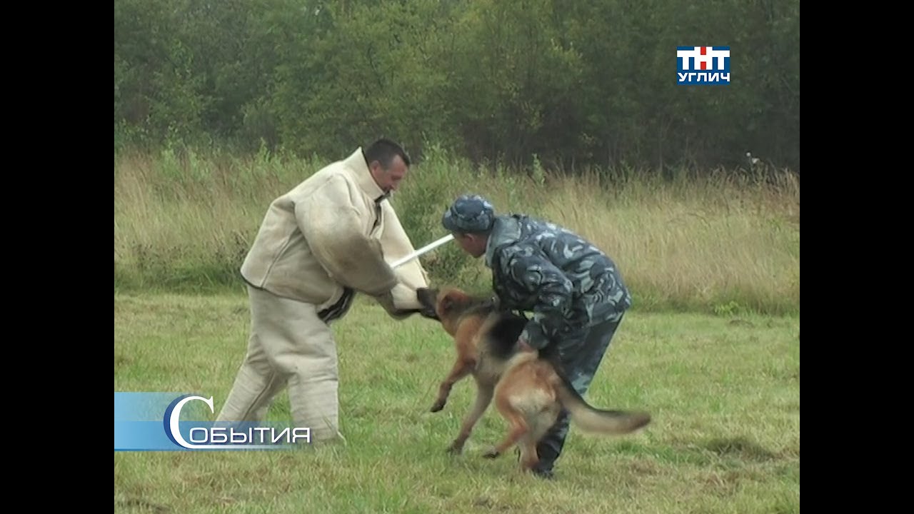 2012/08 &ndash; Соревнования по многоборью со служебными собаками