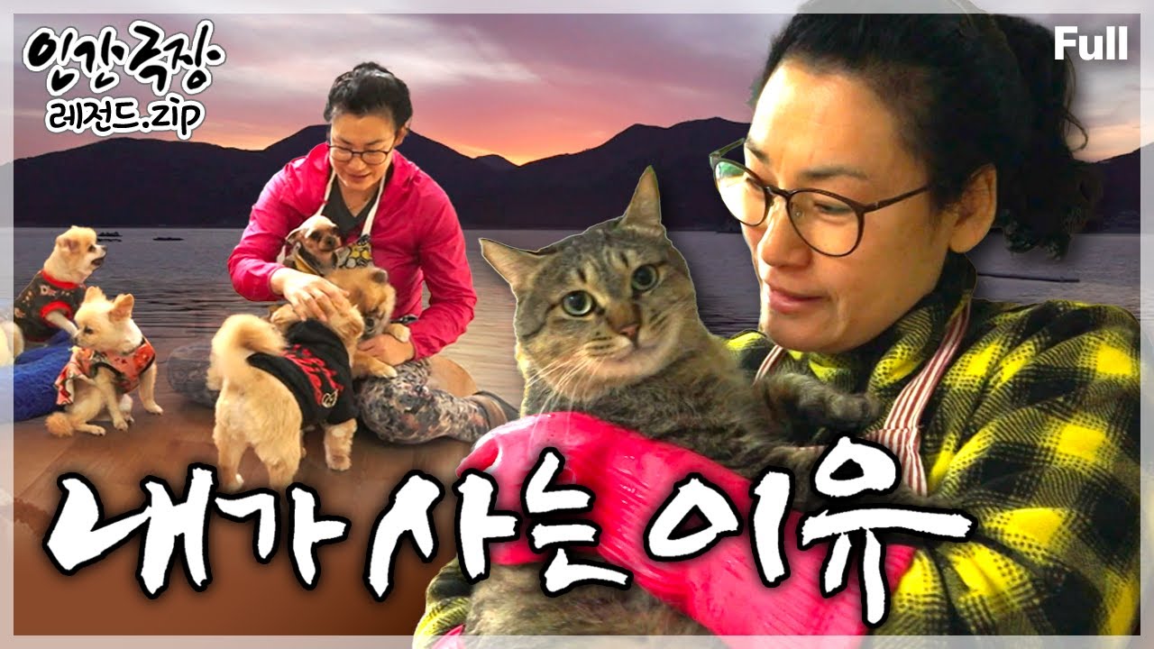 [인간극장★] 거제도에서 60여 마리의 유기 동물들을 키우는🐶😺 소문난 ‘개 엄마’의 사랑 가득 동분서주 라이프🐕🐈 ‘내가 사는 이유’ | KBS 방송