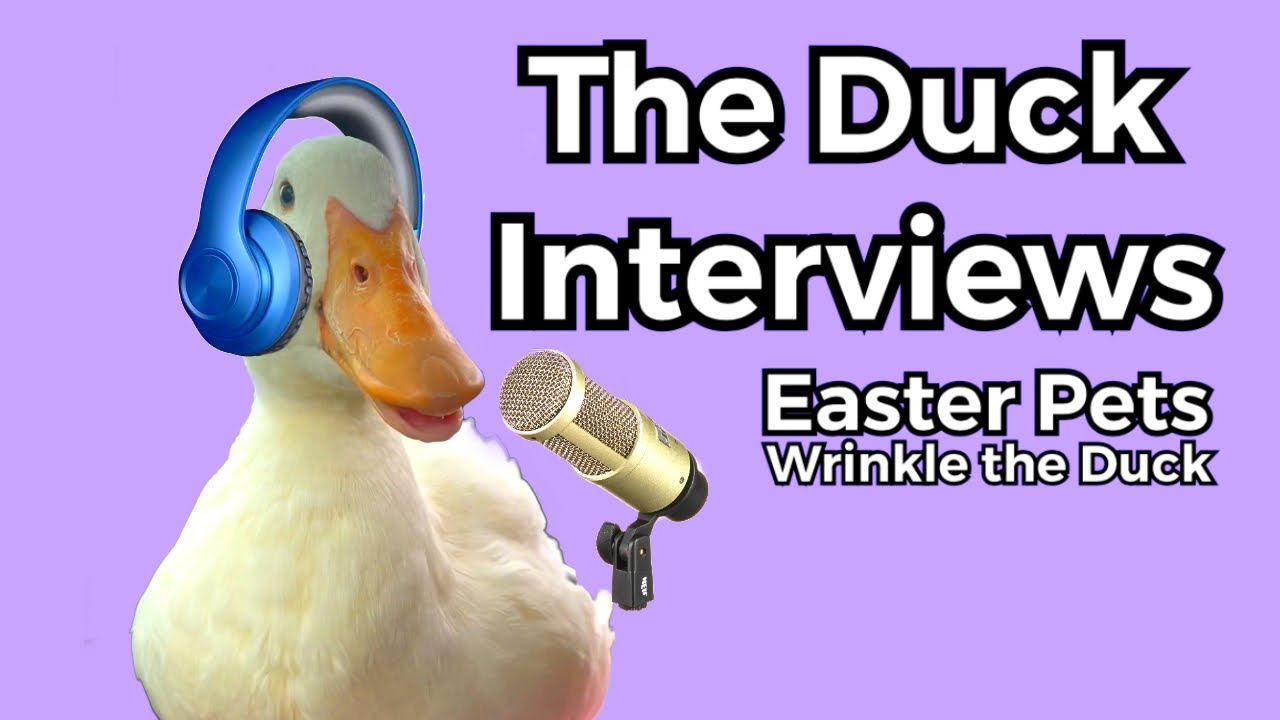 Wrinkle the Duck Interviews - Episode 1 (full video)