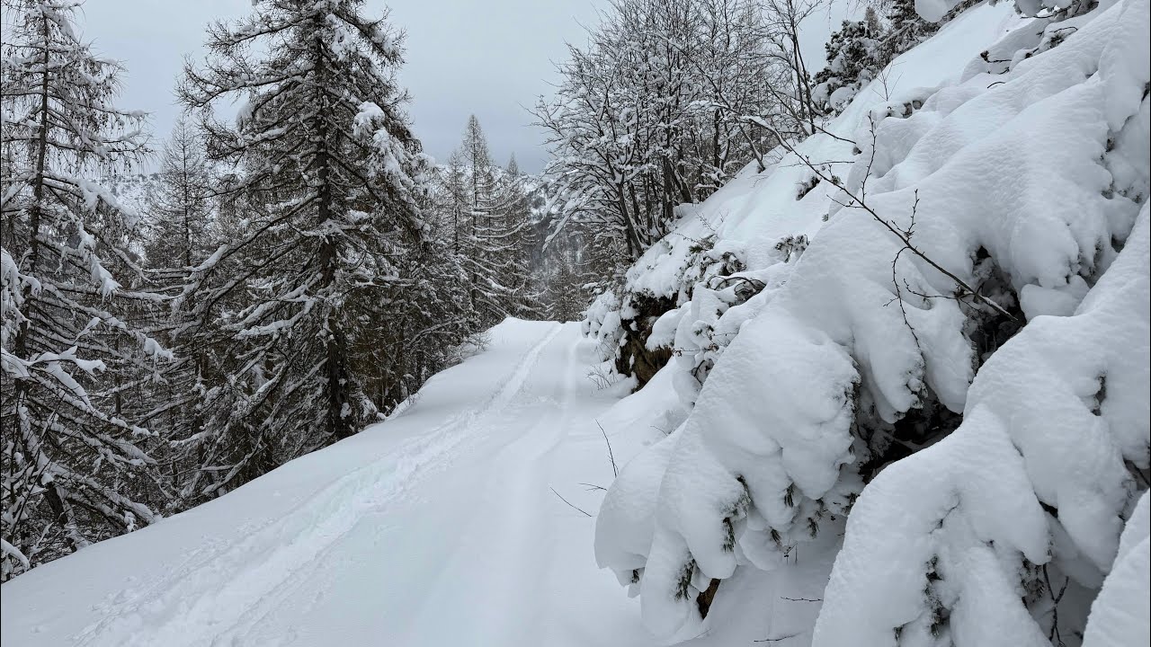 (TO) Rifugio Lunella 2025-02 🥾1❄️🐕