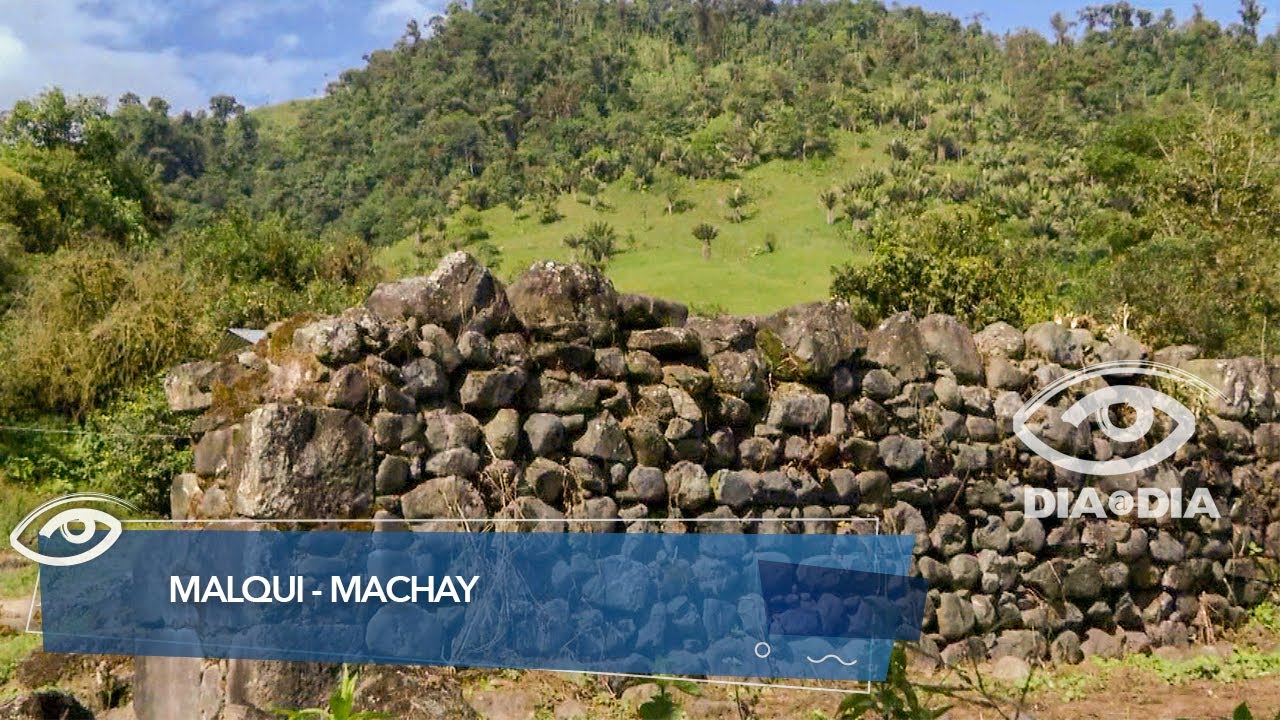 Malqui - Machay - Día a Día - Teleamazonas