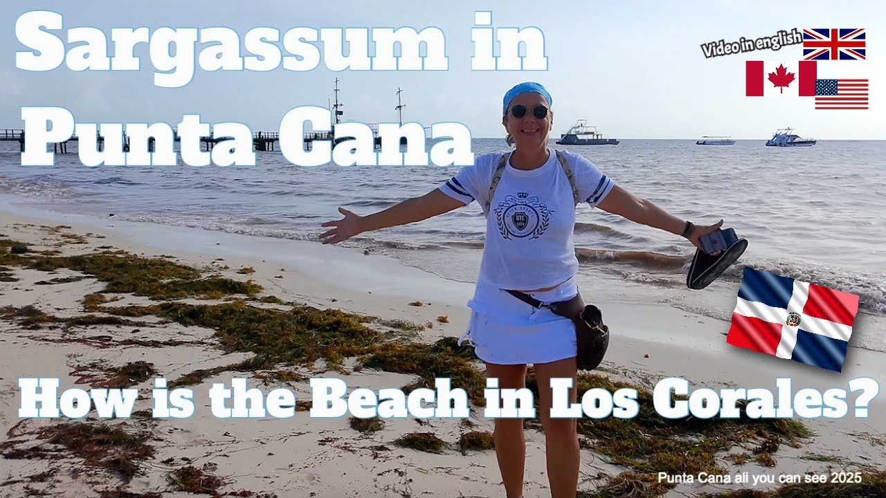 Sargassum Season in Punta Cana. How is the Los Corales  Beach 2025