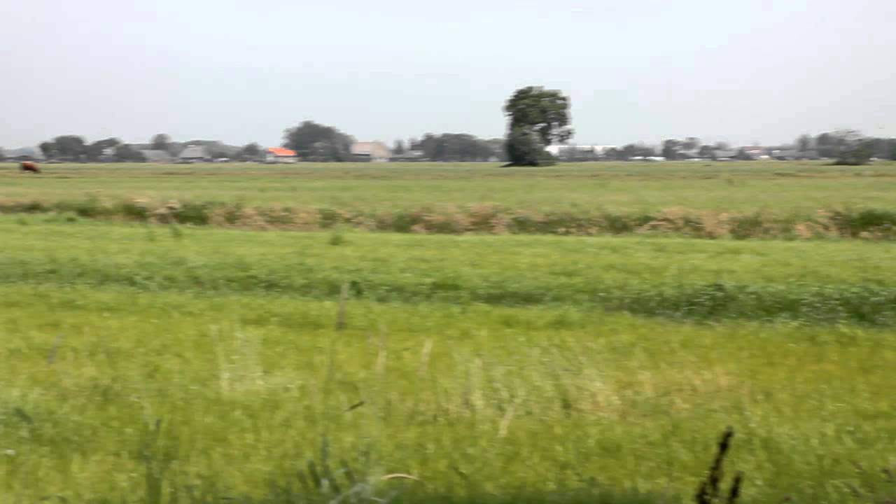 Test video with Canon 1100D and Tamron 55-200mm lens