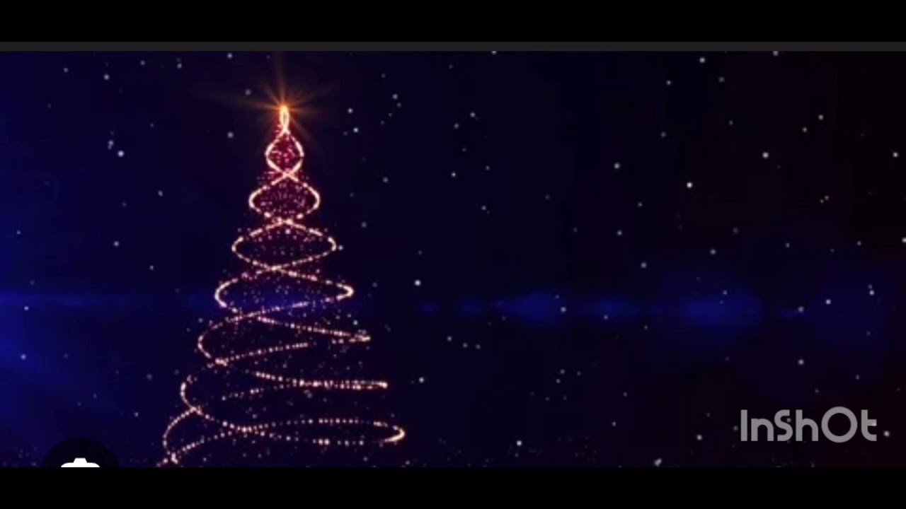 Oh Christmas Tree