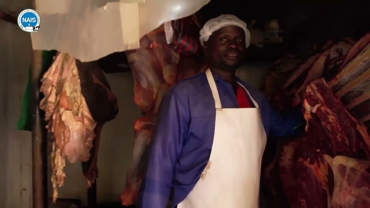 ZAMBIA: Role of Livestock Market Centres in Promoting a Sustainable Livestock Sector