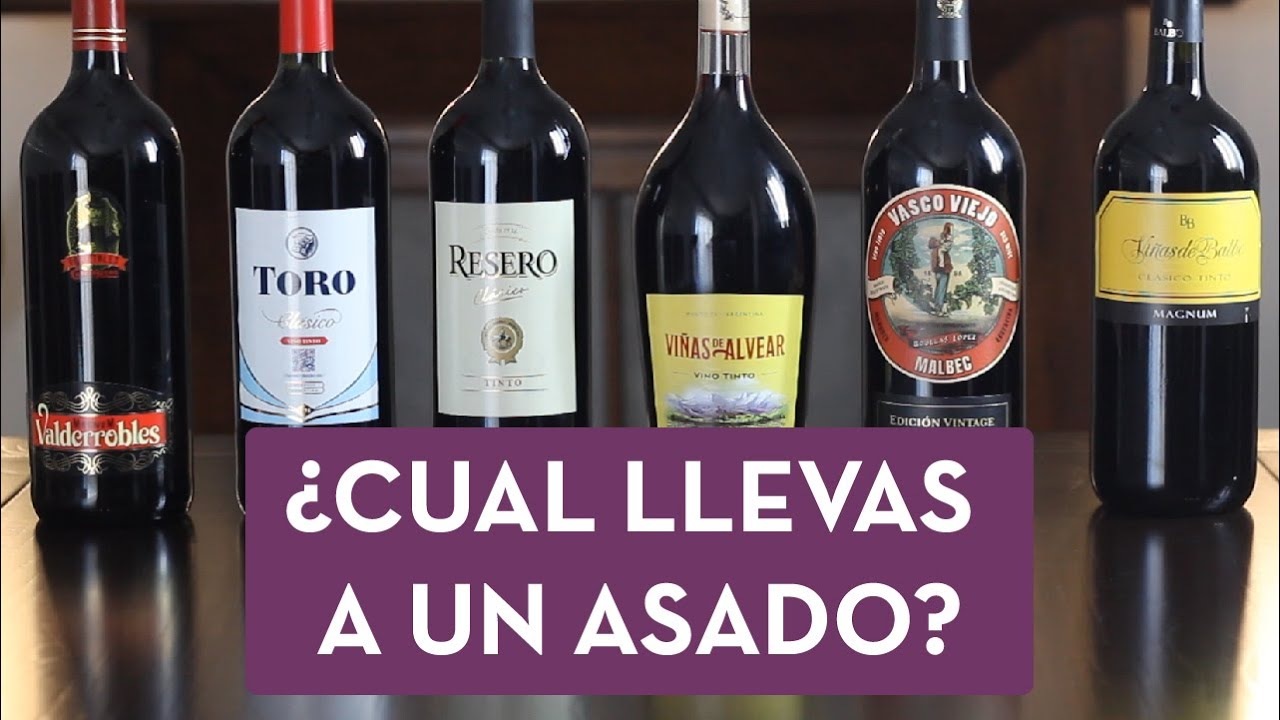 Cata de Vino Tinto Argentino en Botella Mangnum