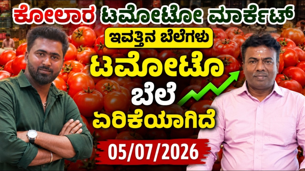 || Kolar  today tomato rate  05/07/2026 || ಕೋಲಾರ ಟಮೋಟ ಮಾರ್ಕೆಟ್ ಇವತ್ತಿನ ರೇಟ್ ಎಷ್ಟುಗೊತ್ತಾ.? 💛❤️