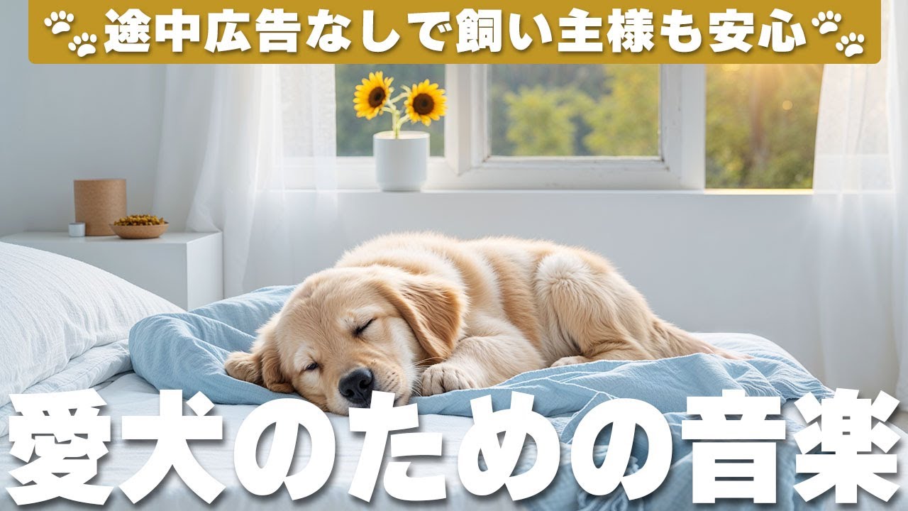 NO ADS🐶Music For Dogs🐶愛犬が落ち着くリラックス音楽（広告なし） / ヒーリングミュージック / ペット用音楽 / vol.449