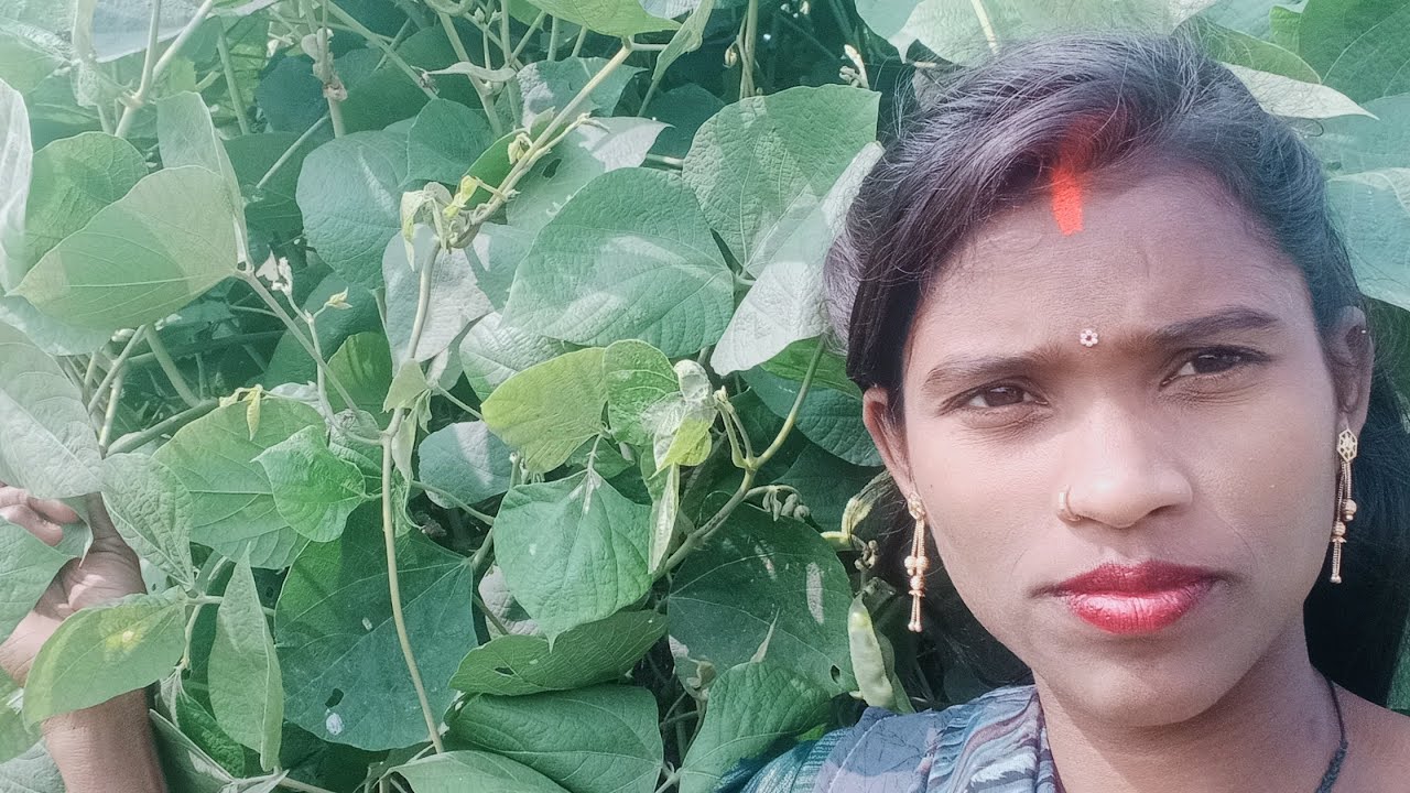 लोग कहते हैं वीडियो बनाना गलत है