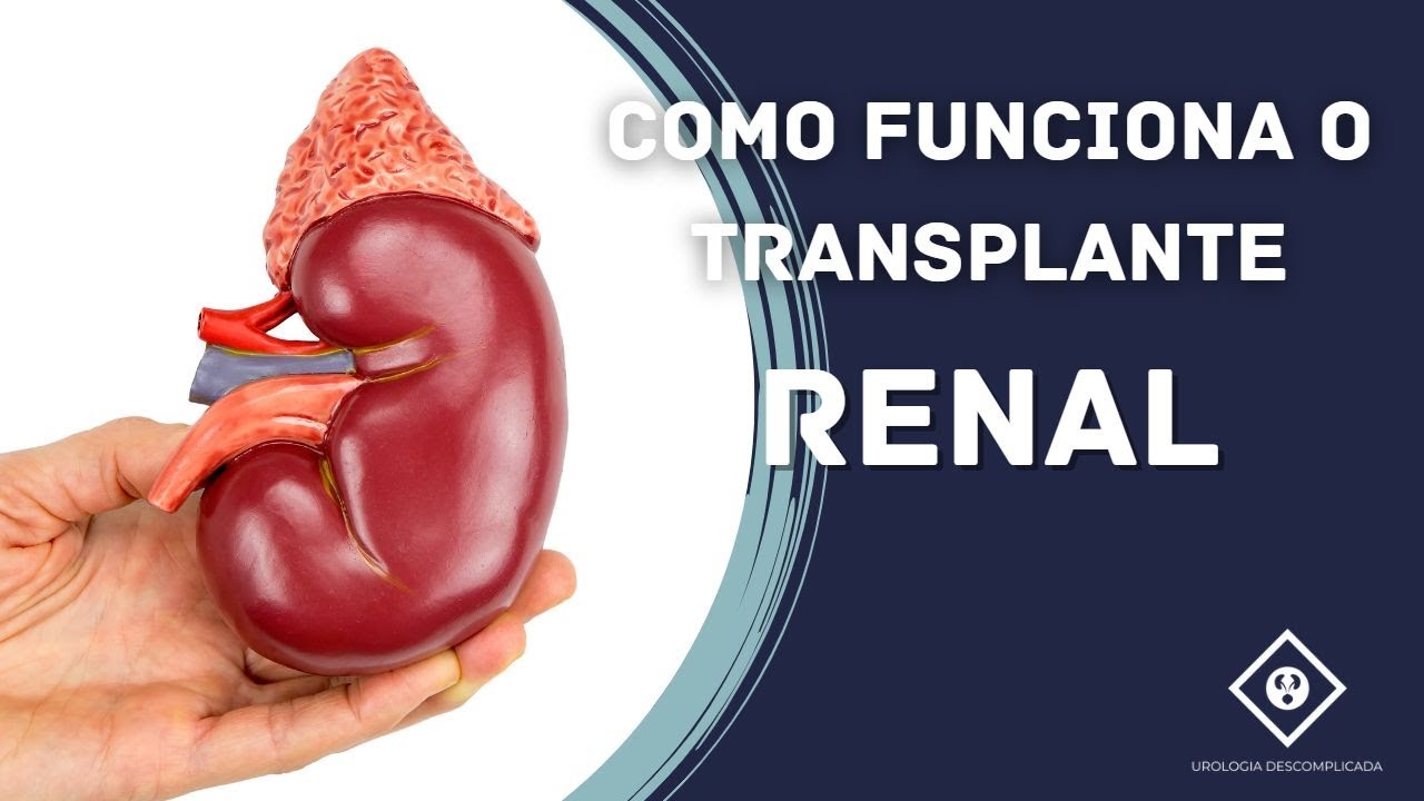 COMO FUNCIONA O TRANSPLANTE RENAL?