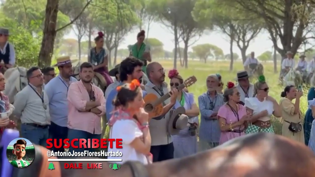 El Rocio 2026 y Semana Santa de Sevilla 2026. SUSCRIBETE y me ayudas dandole like