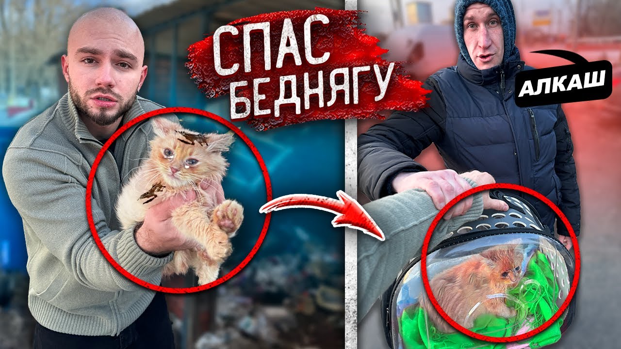 НАШЕЛ на ПОМОЙКЕ БРОШЕННОГО КОТЕНКА и СПАС от ХОЗЯЕВ ГОПНИКОВ