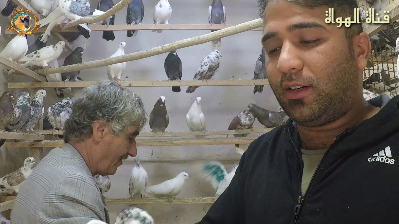 سوق الحمام في إيران
