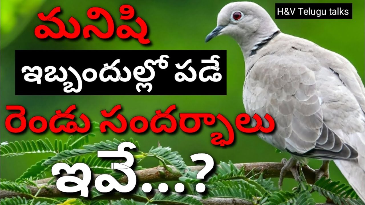 jeevitha sathyalu#133| manchi matalu| inspiring quotes| motivational quotes| life changing quotes