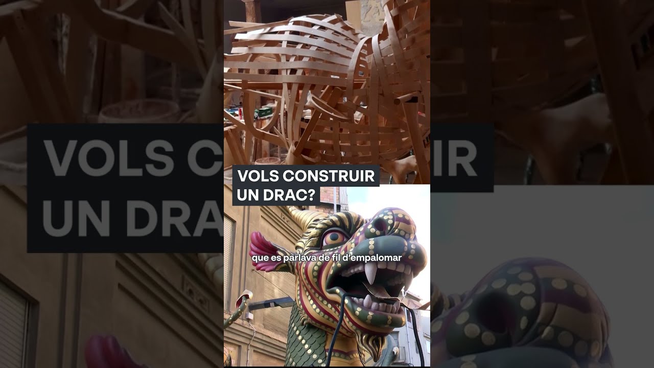 Gaudeix la festa | El nou drac vell d'Igualada