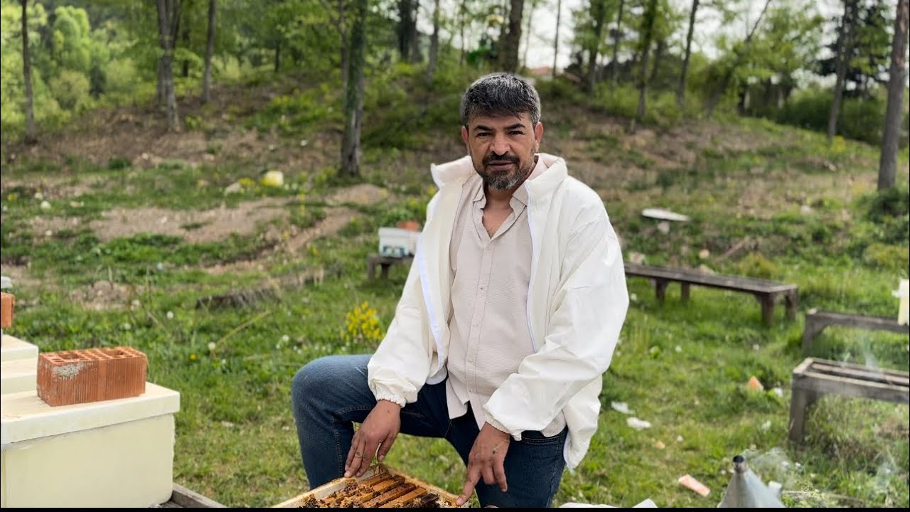 TOKİ ile Yarışıyor. Yığılca Ana Arısı Kraliçe iyi çalıştı. Arımıza 3. katı attık. 4. kat yolda.