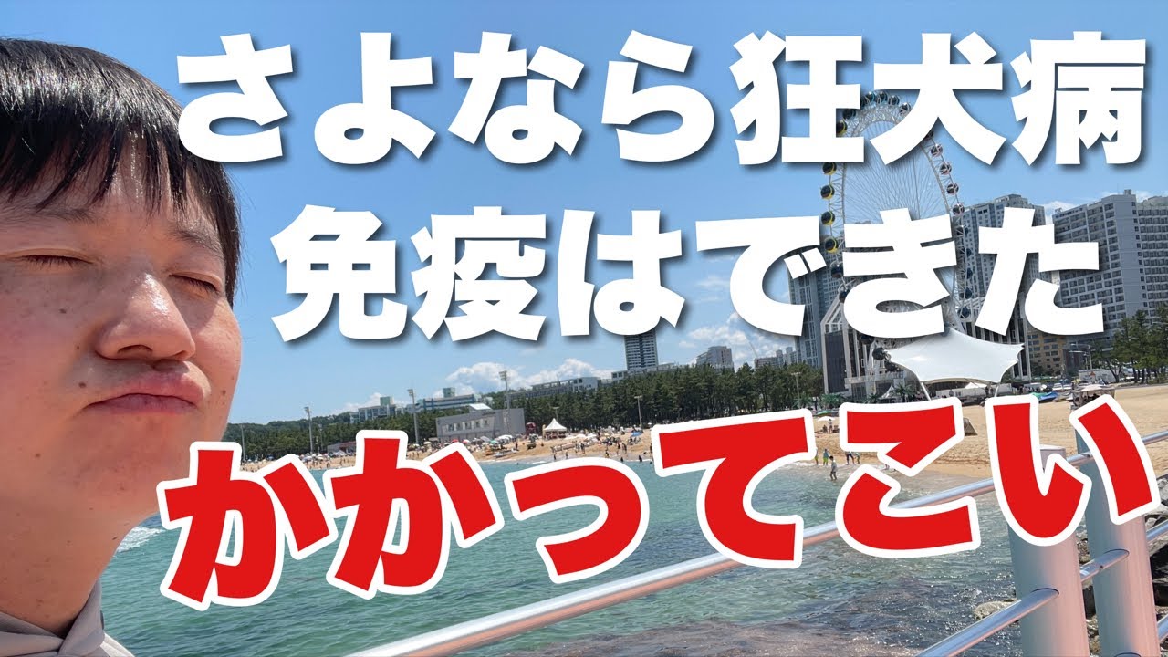 狂犬病の注射３ヶ月かけてやっと終わりました！！！【噛まれホーダイ】