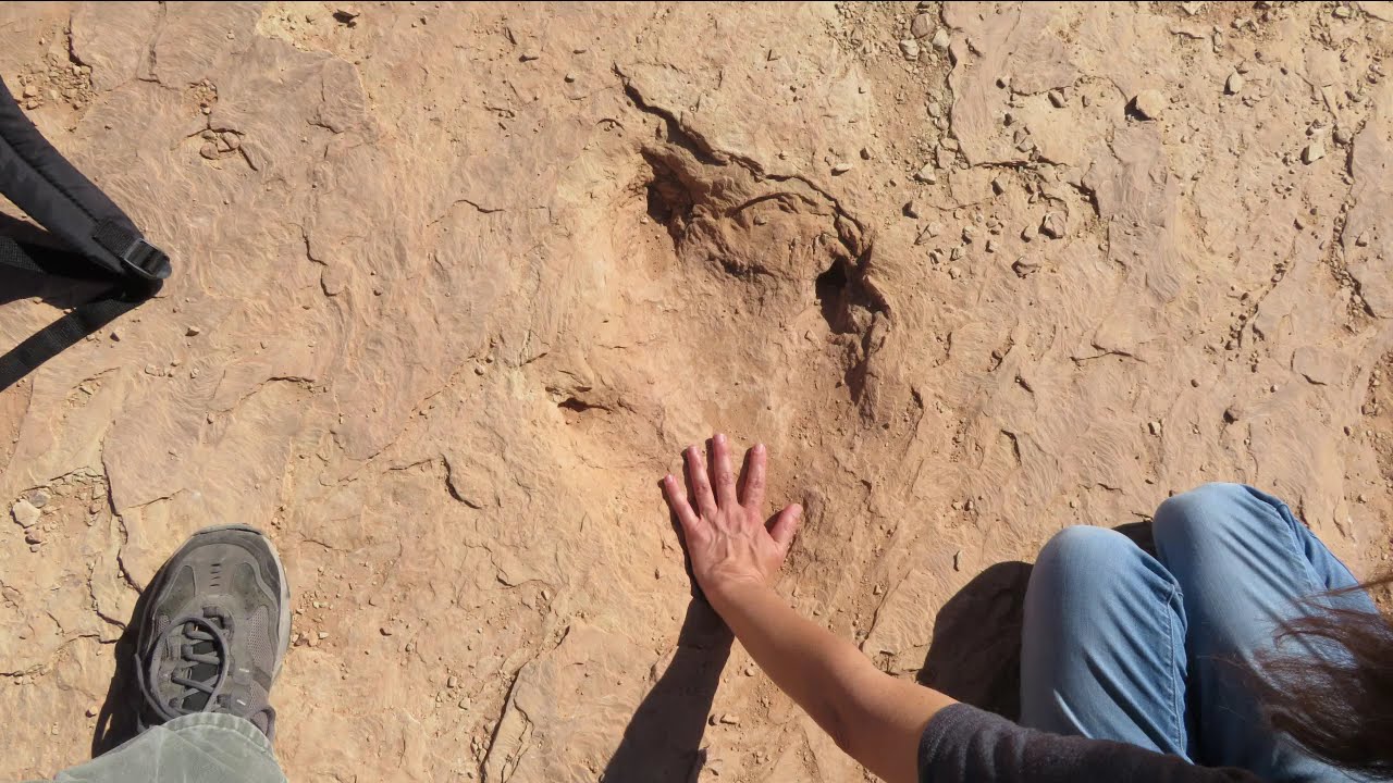 Awesome Dinosaur Tracks Near Moab, UT: I Even Fell Through a Hole in a Rock! 🤣