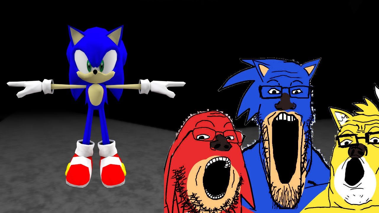 sonic le hedgehoug (sonic the disaster .exe gameplay with memes)