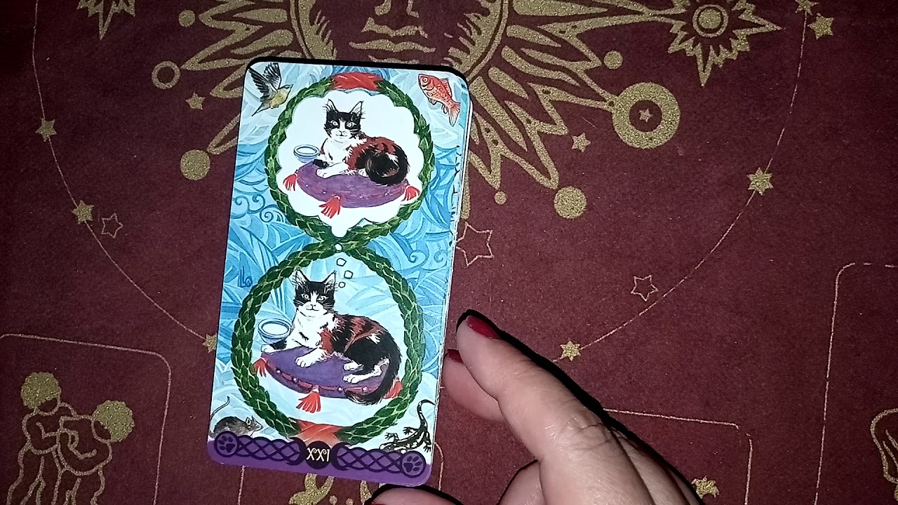 Mazos de tarot: gatos paganos