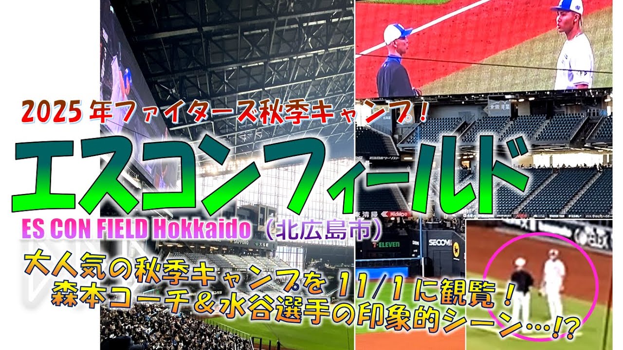 北広島】今年も盛況！エスコンフィールド♪『ファイターズ秋季キャンプ 11/2(日) を観覧！』◆家族でエスコン♪◆