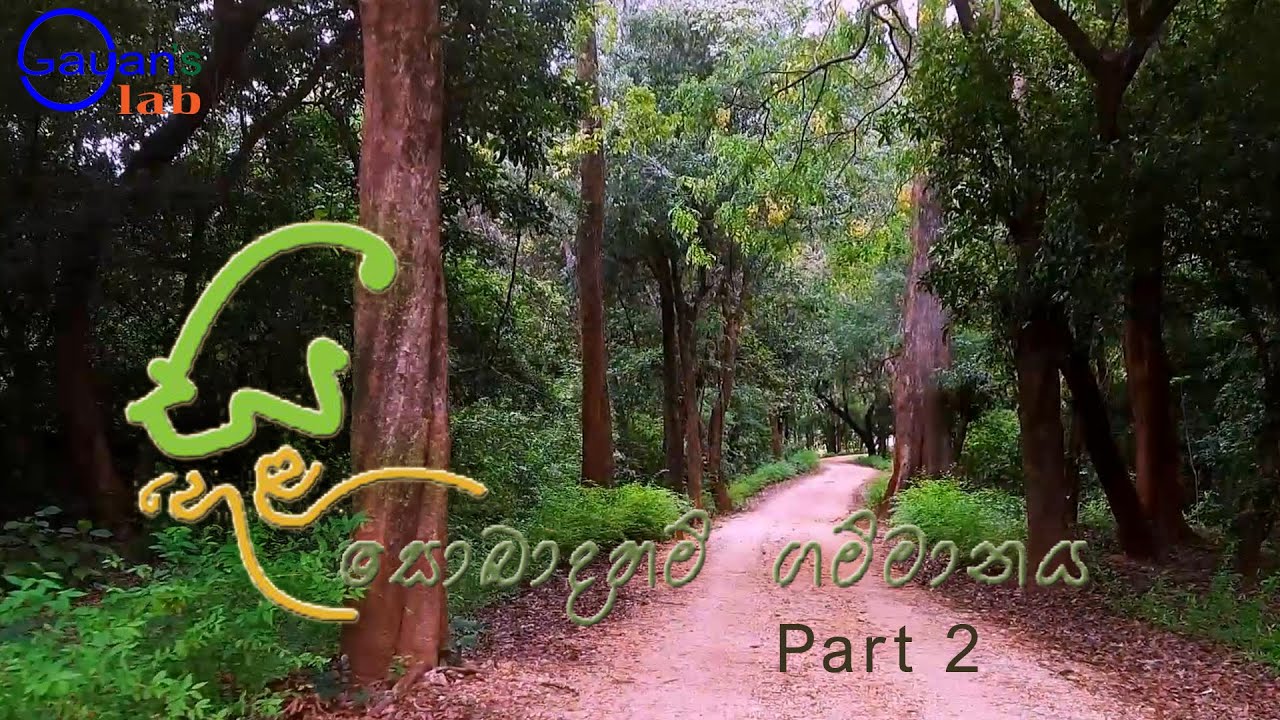 Seehela Nature Village | Elahera | Part 2