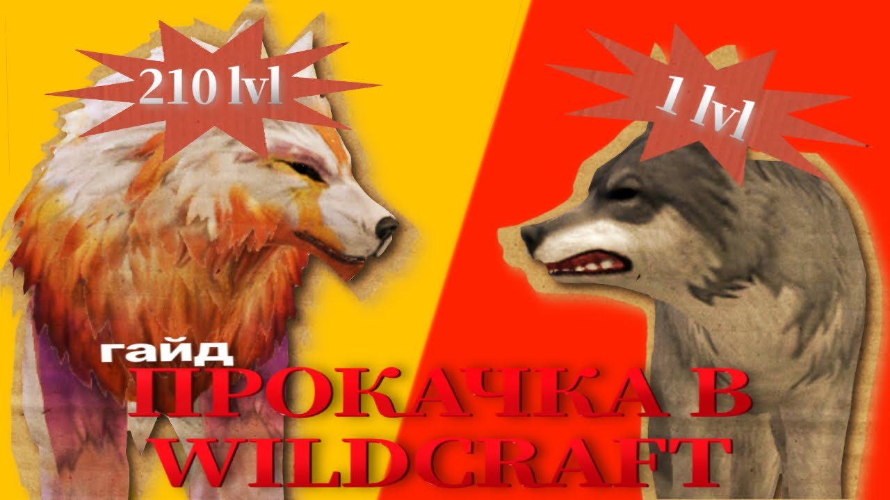 как ПРОКАЧАТЬСЯ? СОВЕТЫ по ПРОКАЧКЕ | Wildcraft 