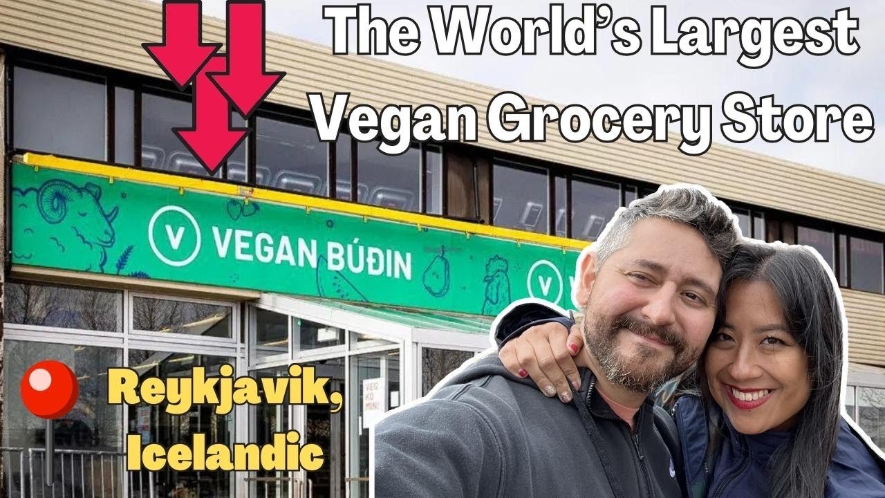 🇮🇸 Largest Vegan Grocery in the World | Iceland 🇮🇸