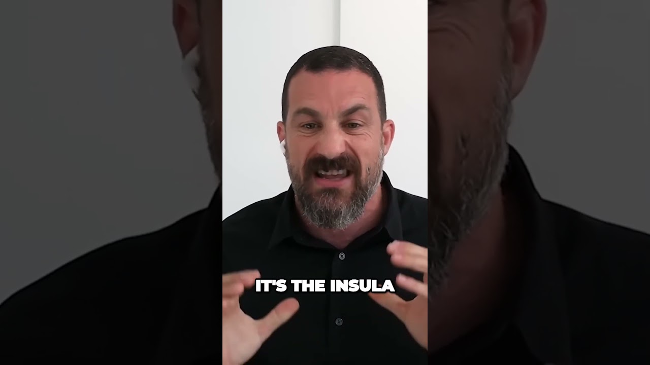The Insula Unveiling the Brains Hidden Signal Interpreter
